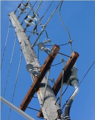 Sales and Use and Telecom Tax....Oh My!