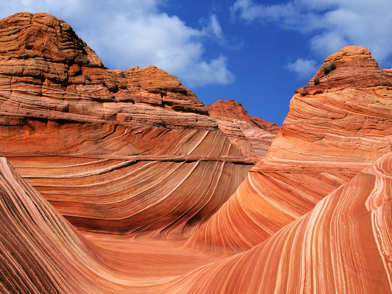 Arizona – Targeting Sales Tax Simplification – To Be Continued