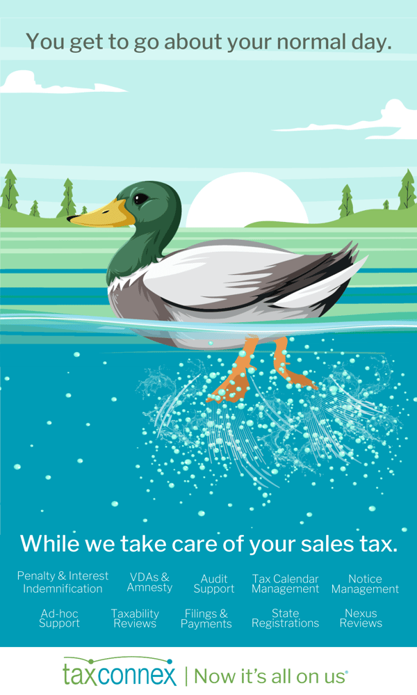 Duck infographic (2)