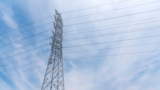 Case Study: Fast-growing telecom company looks to TaxConnex for complete sales tax support