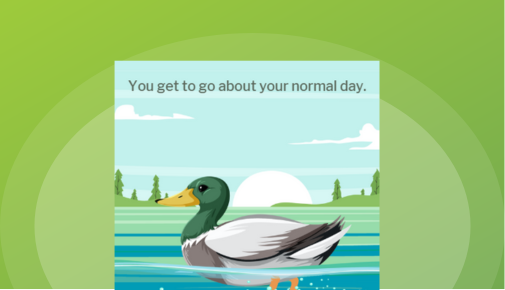 duck thumbnail