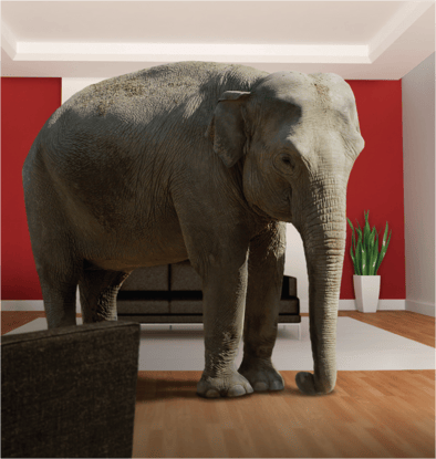 elephant-in-the-room-1