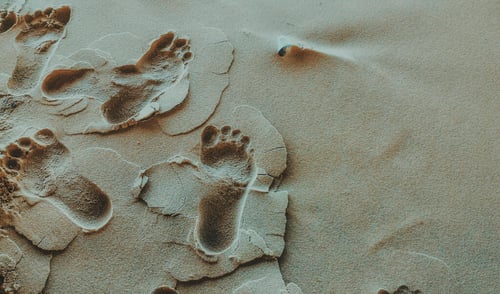 5 Steps to Tracking Your Economic Nexus Footprint