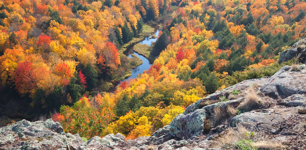 river-in-michigan-surrounded-by-trees-in-fall-PUC463Q