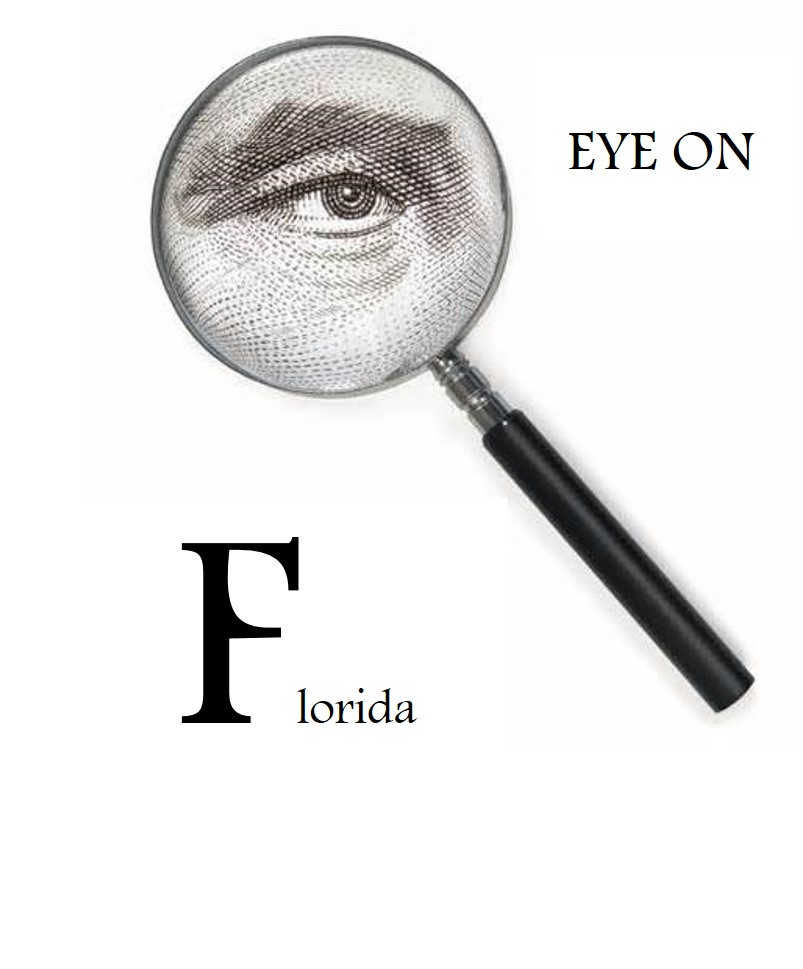 Florida State Sales and Use Tax Information | TaxConnex
